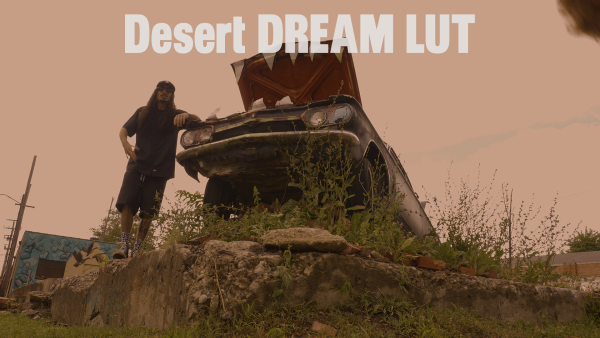 Signature LUT Bundle - Image 4