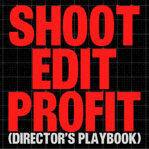 The Profitable Music Video Agency Playbook (FREE)